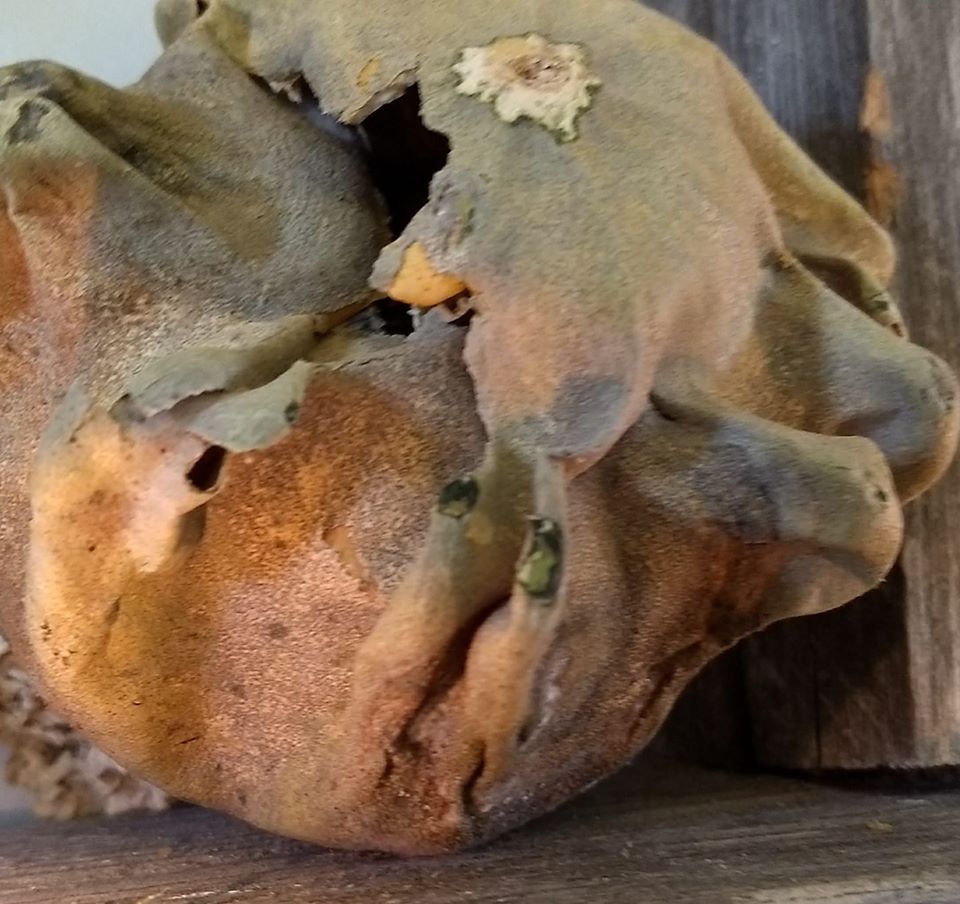 Rotting Gourd remind us of the importance of letting seasons go